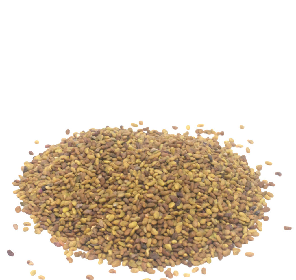 Organic Alfalfa Seeds, Family Farm Organics (200g) - Hu Organics