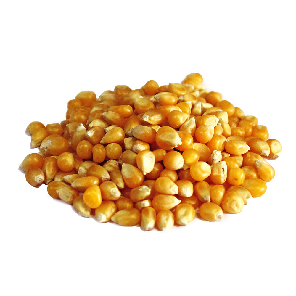 Organic Yellow Popcorn, Family Farm Organics (454g)